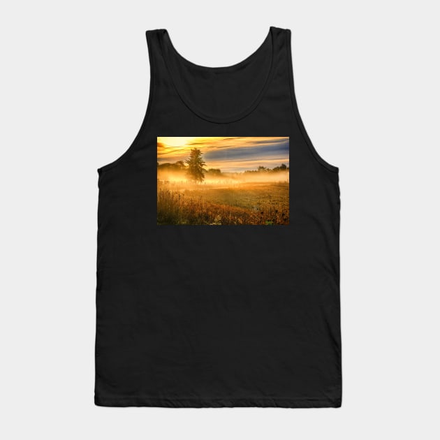 Morning Mist Over Country Road Tank Top by Robert Alsop